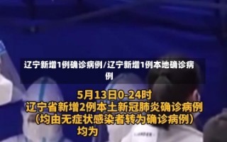 辽宁新增1例确诊病例/辽宁新增1例本地确诊病例