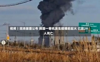 视频丨现场画面公布 韩国一客机发生碰撞后起火 已致28人死亡