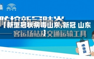 【新型冠状病毒山东,新冠 山东】