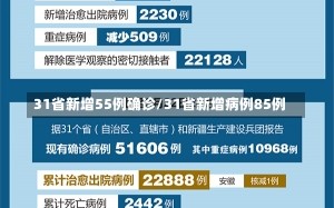 31省新增55例确诊/31省新增病例85例