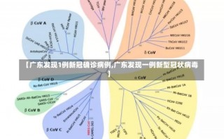 【广东发现1例新冠确诊病例,广东发现一例新型冠状病毒】