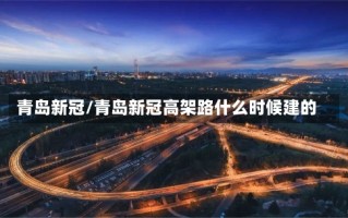 青岛新冠/青岛新冠高架路什么时候建的