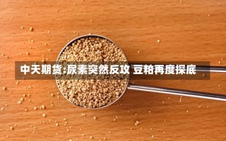 中天期货:尿素突然反攻 豆粕再度探底