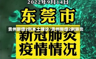 贵州新增2例本土确诊/贵州新增2例肺炎