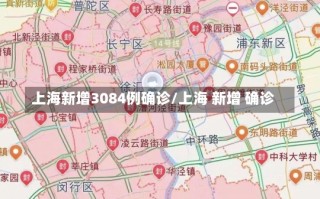 上海新增3084例确诊/上海 新增 确诊