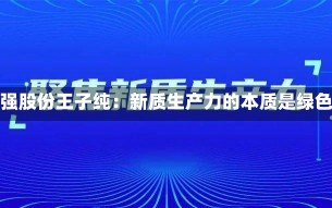 东强股份王子纯：新质生产力的本质是绿色