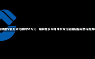 建信财险宁夏分公司被罚55万元：编制虚假资料 未按规定使用经备案的保险费率