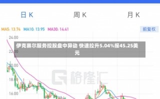 伊克赛尔服务控股盘中异动 快速拉升5.04%报45.25美元