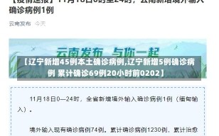 【辽宁新增45例本土确诊病例,辽宁新增5例确诊病例 累计确诊69例20小时前0202】