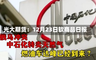 光大期货：12月23日软商品日报