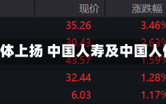 保险股午后集体上扬 中国人寿及中国人保均涨超4%