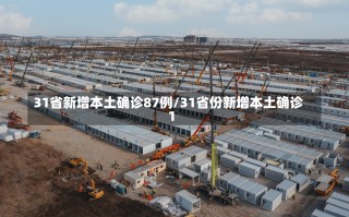 31省新增本土确诊87例/31省份新增本土确诊1