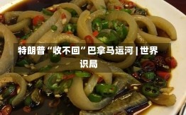 特朗普“收不回”巴拿马运河 | 世界
识局