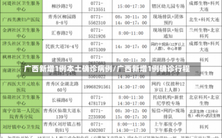 广西新增1例本土确诊病例/广西新增1例确诊行程