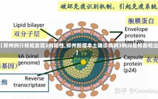 【郑州例行核检发现3例阳性,郑州新增本土确诊病例3例均是核酸检出】