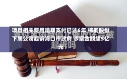 项目相关费用逾期支付已达6年 棕榈股份下属公司起诉海口市政府 涉案金额超5亿元