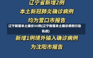 辽宁新增本土确诊35例(辽宁新增本土确诊病例行动轨迹)