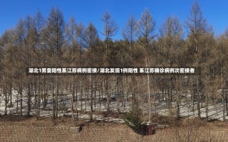 湖北1男童阳性系江苏病例密接/湖北发现1例阳性 系江苏确诊病例次密接者