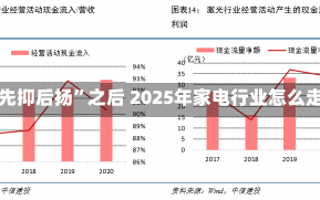 “先抑后扬”之后 2025年家电行业怎么走?