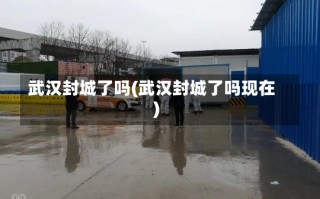 武汉封城了吗(武汉封城了吗现在)