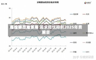 布伦特原油费用
连续第二年下滑 需求担忧抑制2025年费用
前景