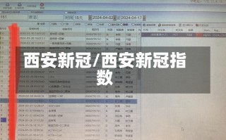 西安新冠/西安新冠指数