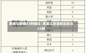 黑龙江新增23例确诊/黑龙江新增新冠肺炎23例