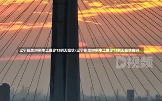 辽宁新增20例本土确诊12例无症状/辽宁新增20例本土确诊12例无症状病例