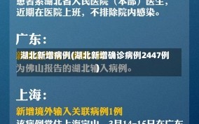 湖北新增病例(湖北新增确诊病例2447例)