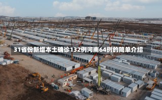 31省份新增本土确诊132例河南64例的简单介绍