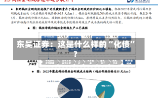 东吴证券：这是什么样的“化债”？