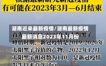 湖南近来最新疫情/湖南最新疫情最新消息2023年11月份