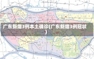 广东新增3例本土确诊(广东新增3例冠状)