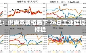 长江有色：供需双弱格局下 26日工业硅现货费用
持稳