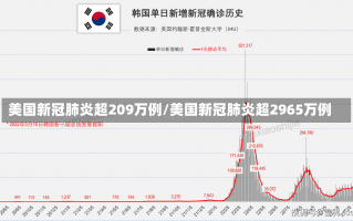 美国新冠肺炎超209万例/美国新冠肺炎超2965万例