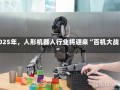 2025年，人形机器人行业将迎来“百机大战”