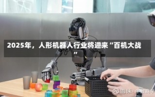 2025年，人形机器人行业将迎来“百机大战”