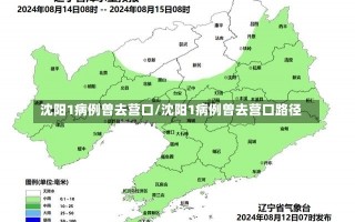 沈阳1病例曾去营口/沈阳1病例曾去营口路径