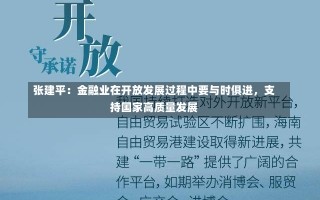 张建平：金融业在开放发展过程中要与时俱进，支持国家高质量发展