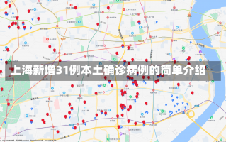 上海新增31例本土确诊病例的简单介绍