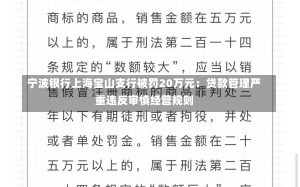 宁波银行上海宝山支行被罚20万元：贷款管理严重违反审慎经营规则