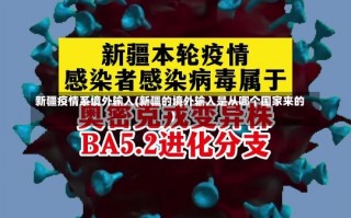 新疆疫情系境外输入(新疆的境外输入是从哪个国家来的)