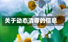 关于动态清零的信息