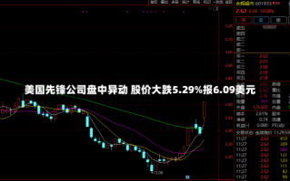 美国先锋公司盘中异动 股价大跌5.29%报6.09美元