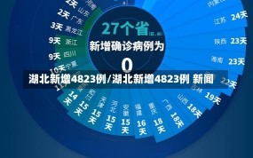 湖北新增4823例/湖北新增4823例 新闻