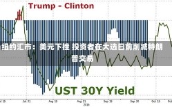 纽约汇市：美元下挫 投资者在大选日前削减特朗普交易