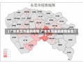 【广东东莞市最新疫情,广东东莞最新疫情报告】