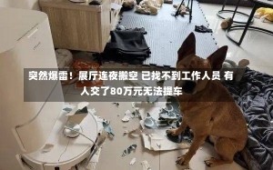 突然爆雷！展厅连夜搬空 已找不到工作人员 有人交了80万元无法提车