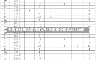 全国累计确诊病例破3万/全国累计确诊20438例