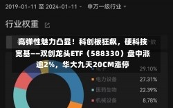 高弹性魅力凸显！科创板狂飙，硬科技宽基——双创龙头ETF（588330）盘中涨逾2%，华大九天20CM涨停